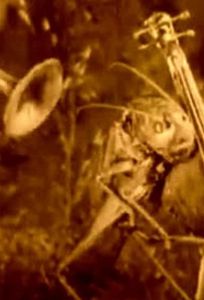 Веселые сценки из жизни животных (мультфильм 1912)