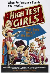 Шесть шведок с бензоколонки (фильм 1980)