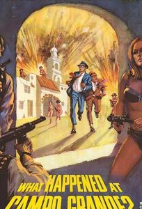 Великолепная пара (фильм 1967)