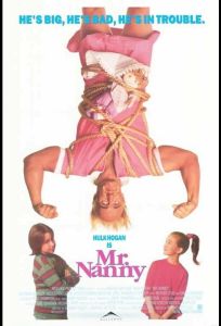 Мистер Няня (фильм 1993)