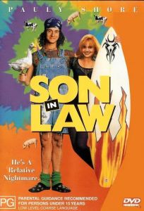 Зятек (фильм 1993)