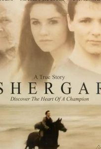 Похищение чемпиона (фильм 1999)