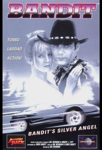 Серебряный ангел бандита (фильм 1994)