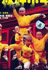 Xiao lin lao zu (фильм 1995)