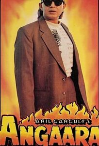 Разъяренный (фильм 1996)