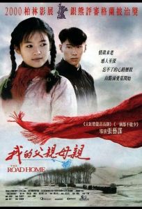 Дорога домой (фильм 1999)