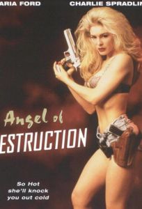 Ангел разрушения (фильм 1994)