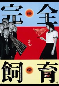 Идеальное образование (фильм 1999)